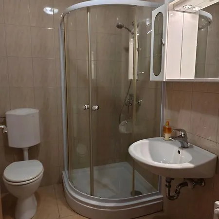 Apartmaji Pri Kokolu Guest house