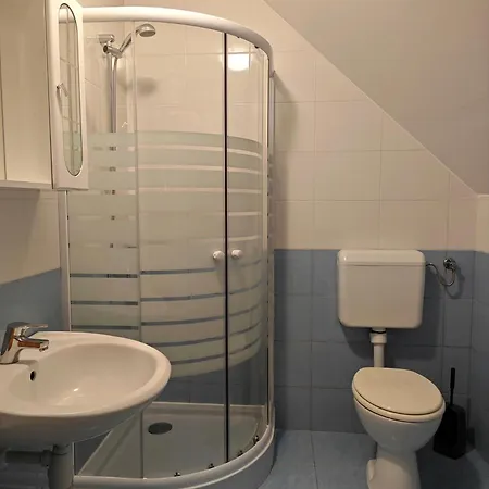 Guest house Apartmaji Pri Kokolu 3*