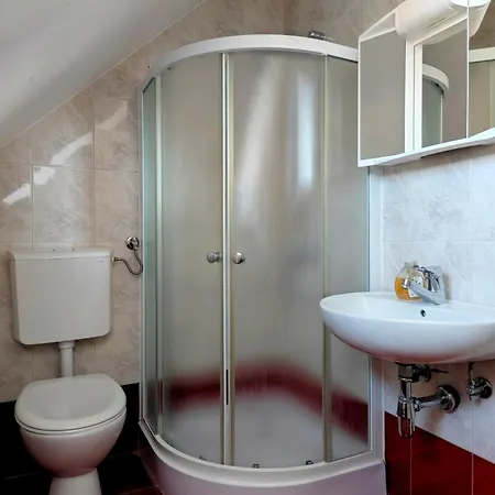 Guest house Apartmaji Pri Kokolu