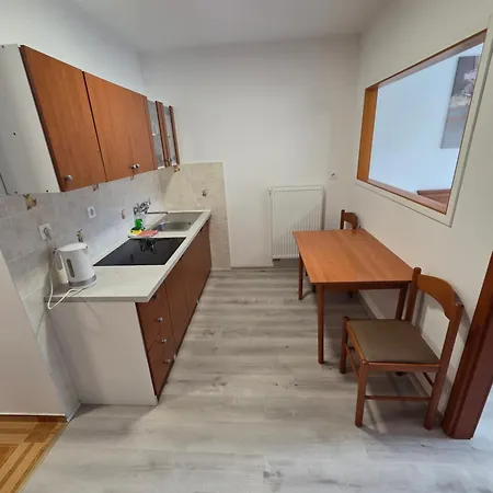 Guest house Apartmaji Pri Kokolu