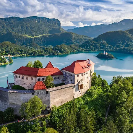 Apartmaji Pri Kokolu 布莱德