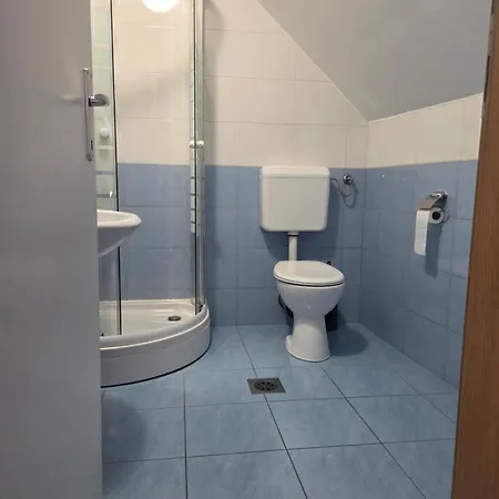 Pensionat Apartmaji Pri Kokolu