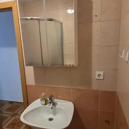 Πανσιόν Apartmaji Pri Kokolu Μπλεντ
