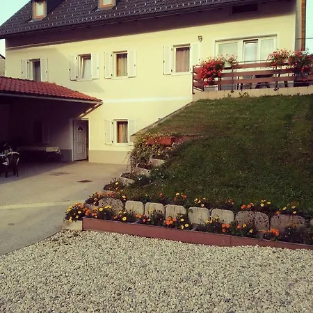 Apartmaji Pri Kokolu Guest house