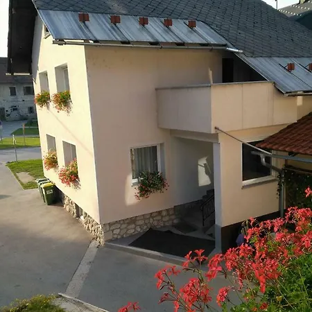 Guest house Apartmaji Pri Kokolu