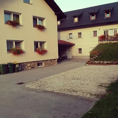 Guest house Apartmaji Pri Kokolu