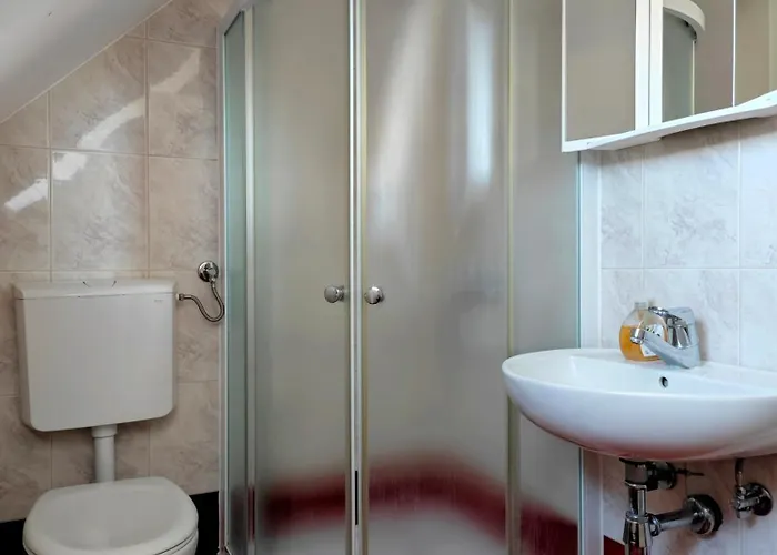 招待所 Apartmaji Pri Kokolu