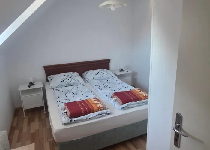 招待所 Apartmaji Pri Kokolu