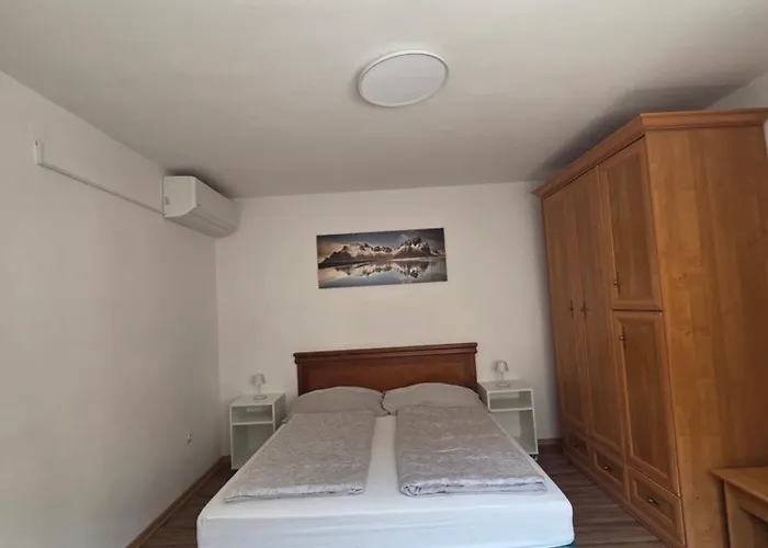 Apartmaji Pri Kokolu 招待所