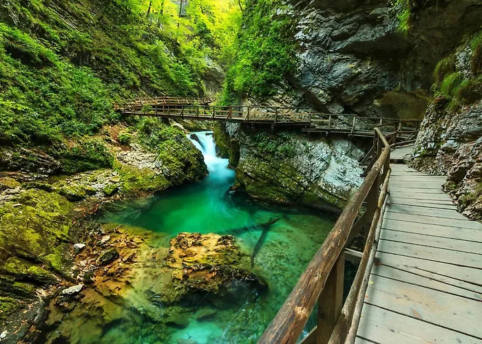 Apartmaji Pri Kokolu