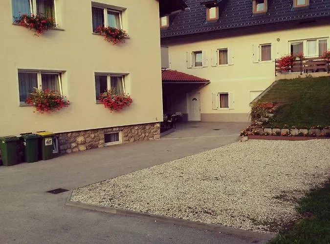 招待所 Apartmaji Pri Kokolu